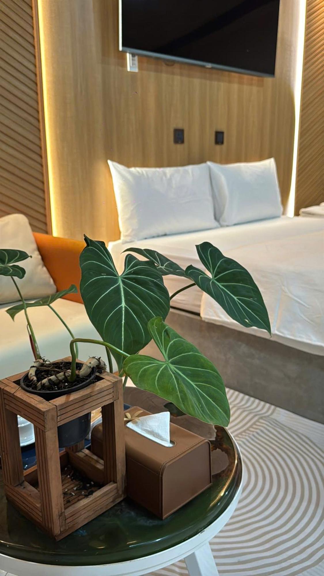 La Garden Homestay Long Xuyên Екстериор снимка
