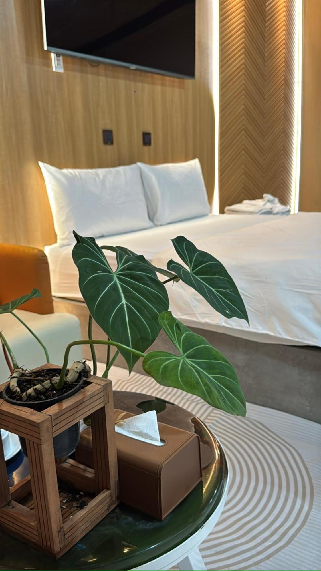 La Garden Homestay Long Xuyên Екстериор снимка
